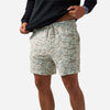 VWSTS-CDC-1.jpg